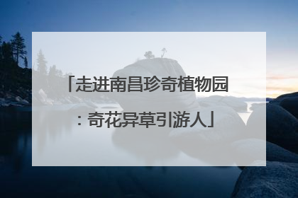 走进南昌珍奇植物园：奇花异草引游人