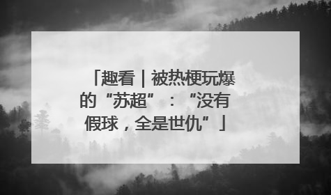 趣看｜被热梗玩爆的“苏超”：“没有假球，全是世仇”