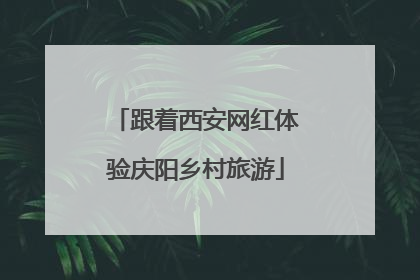 跟着西安网红体验庆阳乡村旅游