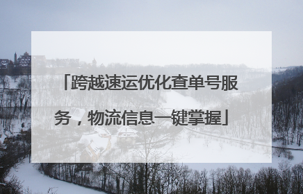 跨越速运优化查单号服务，物流信息一键掌握