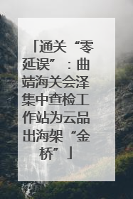 通关“零延误”：曲靖海关会泽集中查检工作站为云品出海架“金桥”