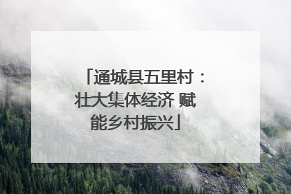 通城县五里村：壮大集体经济 赋能乡村振兴