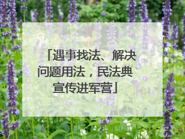 遇事找法、解决问题用法，民法典宣传进军营