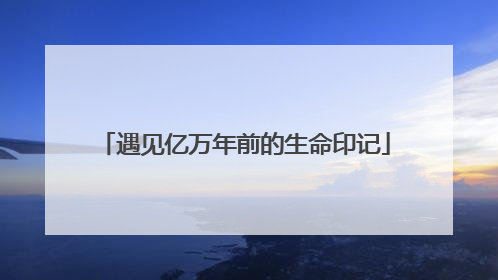 遇见亿万年前的生命印记
