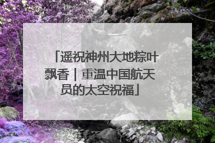 遥祝神州大地粽叶飘香｜重温中国航天员的太空祝福