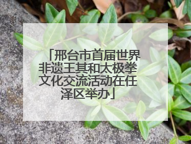邢台市首届世界非遗王其和太极拳文化交流活动在任泽区举办