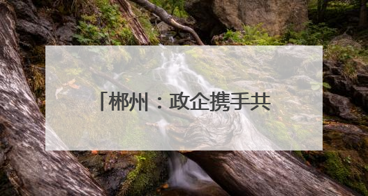 郴州：政企携手共绘乡村振兴新图景