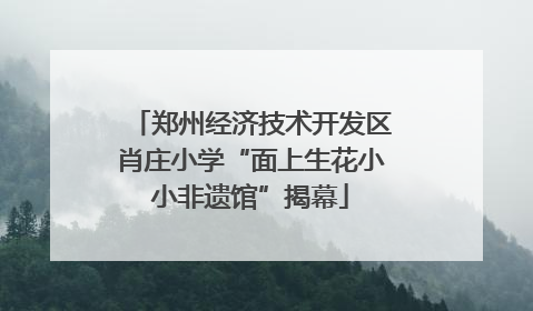 郑州经济技术开发区肖庄小学“面上生花小小非遗馆”揭幕