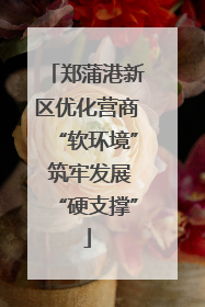 郑蒲港新区优化营商“软环境” 筑牢发展“硬支撑”