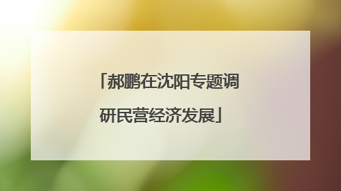 郝鹏在沈阳专题调研民营经济发展