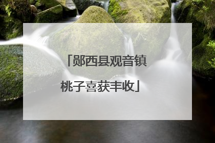 郧西县观音镇桃子喜获丰收