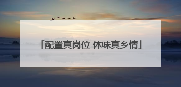 配置真岗位 体味真乡情