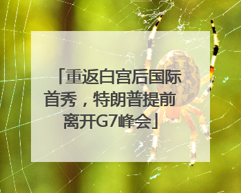 重返白宫后国际首秀，特朗普提前离开G7峰会