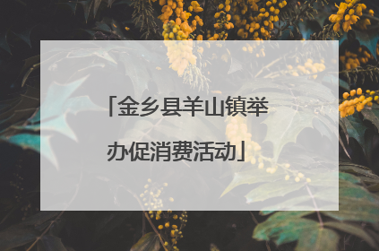 金乡县羊山镇举办促消费活动