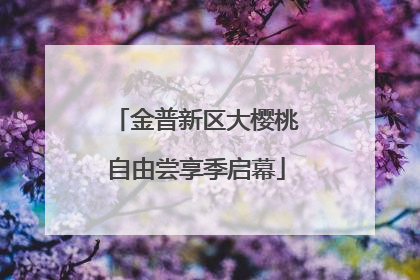 金普新区大樱桃自由尝享季启幕