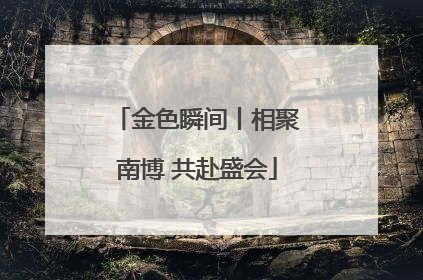 金色瞬间丨相聚南博 共赴盛会
