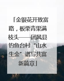 金银花开致富路，板栗青果满枝头——团风县钓鱼台村“山水生金”谱写共富新篇章