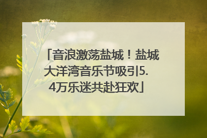 音浪激荡盐城！盐城大洋湾音乐节吸引5.4万乐迷共赴狂欢