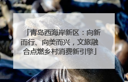 青岛西海岸新区：向新而行、向美而兴，文旅融合点燃乡村消费新引擎