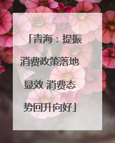 青海：提振消费政策落地显效 消费态势回升向好