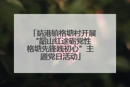 靖港镇格塘村开展“韶山红途砺党性 格塘先锋践初心”主题党日活动