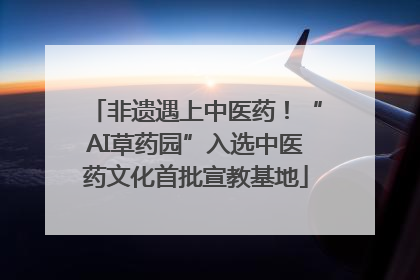 非遗遇上中医药！“AI草药园”入选中医药文化首批宣教基地