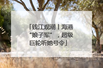 钱江观潮丨海港“娘子军”，超级巨轮听她号令