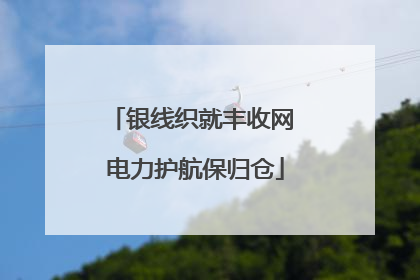 银线织就丰收网 电力护航保归仓