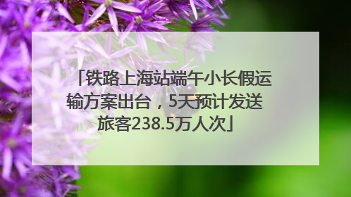 铁路上海站端午小长假运输方案出台，5天预计发送旅客238.5万人次