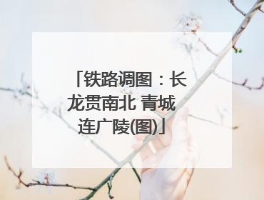 铁路调图：长龙贯南北 青城连广陵(图)