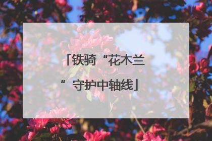 铁骑“花木兰”守护中轴线