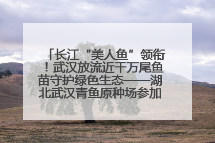 长江“美人鱼”领衔！武汉放流近千万尾鱼苗守护绿色生态——湖北武汉青鱼原种场参加2025年“全国放鱼日”增殖放流活动