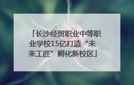 长沙经贸职业中等职业学校15亿打造“未来工匠”孵化新校区