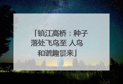 镇江高桥：种子落处飞鸟至 人鸟和谐趣景来