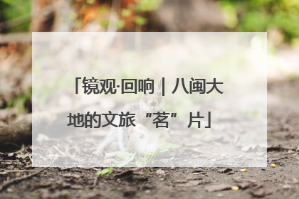 镜观·回响｜八闽大地的文旅“茗”片