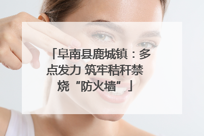 阜南县鹿城镇：多点发力 筑牢秸秆禁烧“防火墙”