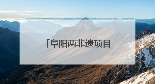 阜阳两非遗项目亮相国际文化节