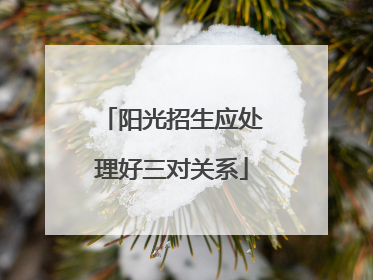 阳光招生应处理好三对关系