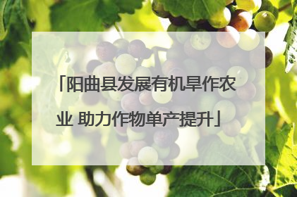 阳曲县发展有机旱作农业 助力作物单产提升