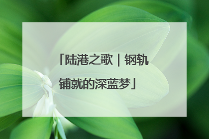 陆港之歌｜钢轨铺就的深蓝梦