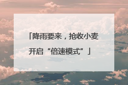 降雨要来，抢收小麦开启“倍速模式”