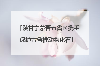 陕甘宁蒙晋五省区携手保护古脊椎动物化石