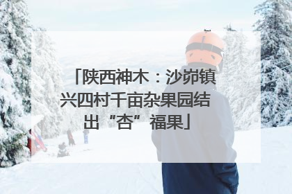 陕西神木：沙峁镇兴四村千亩杂果园结出“杏”福果