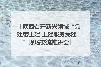 陕西召开新兴领域“党建带工建 工建服务党建”现场交流推进会