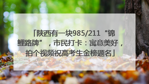 陕西有一块985/211“锦鲤路牌”，市民打卡：寓意美好，拍个视频祝高考生金榜题名