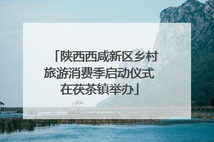 陕西西咸新区乡村旅游消费季启动仪式在茯茶镇举办