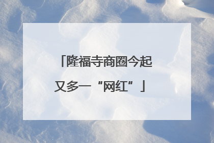 隆福寺商圈今起又多一“网红”