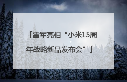 雷军亮相“小米15周年战略新品发布会”