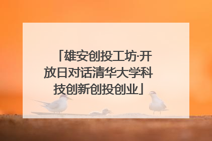 雄安创投工坊·开放日对话清华大学科技创新创投创业