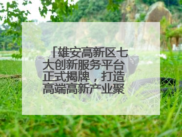 雄安高新区七大创新服务平台正式揭牌，打造高端高新产业聚集“强磁场”